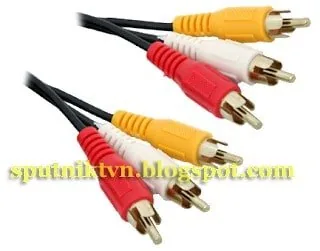 Как называются «тюльпаны» по-английски: терминология RCA